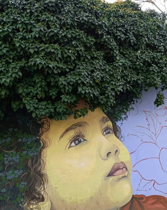 پیچک و گل رونده