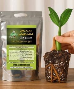 خرید خاک گلدان