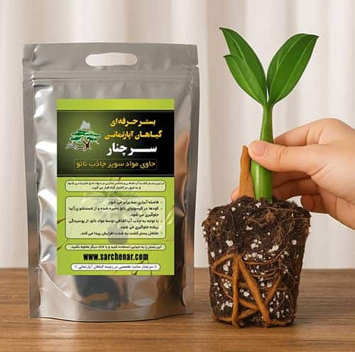 خاک گلدان بستر حرفه ای سرچنار