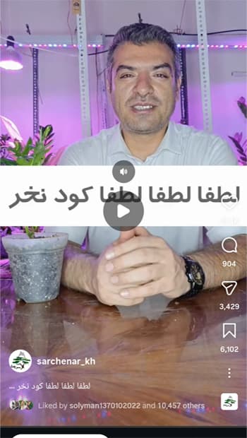 اینستاگرام سرچنار
